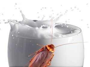 a cockroach crawling on a glass of white milk